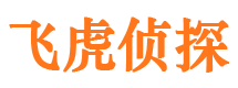 施甸市私家侦探公司